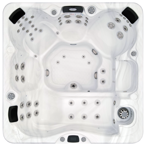 Avalon-X EC-867LX hot tubs for sale in Duluth